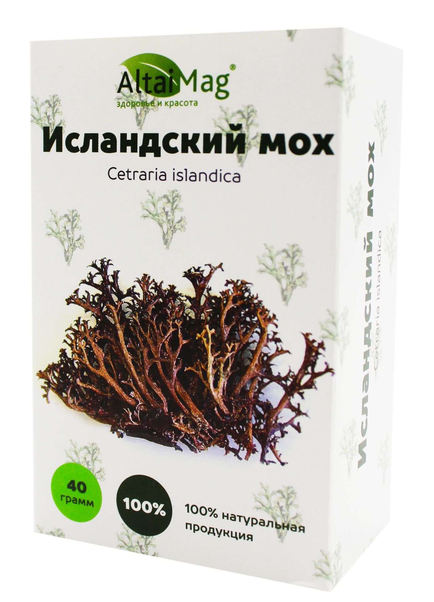 Исландский мох (цетрария) АлтайМаг 40г в Витебске — купить недорого по  низкой цене в интернет аптеке AltaiMag